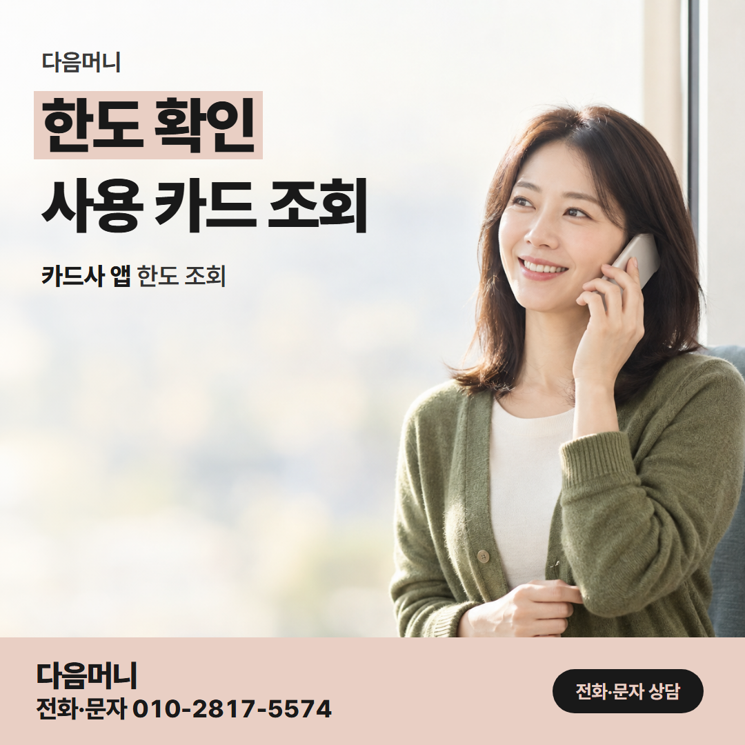 다음머니 남양주카드깡 휴대전화로 미리 조회한 남은 한도